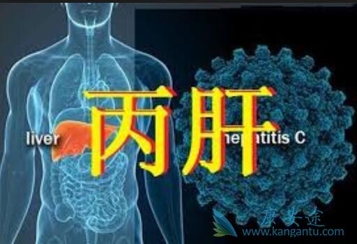 丙肝病毒携带者 丙肝病毒携带者