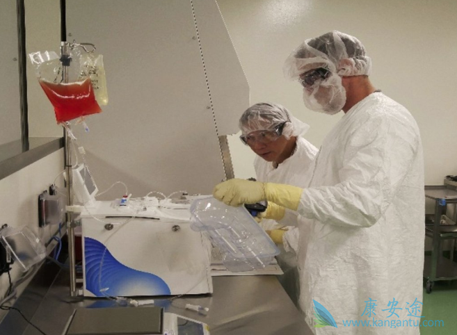 CAR-Tϸ������