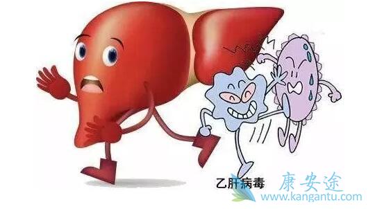 乙肝病毒携带者 乙肝病毒携带者