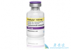 �������µ����ٰ�����ҩ���������鵥�������鵥����T-DM1