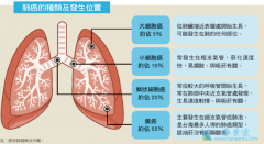 Сϸ���ΰ�Ŀǰ����ʹ������������