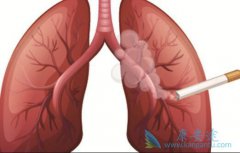 �ٴ���Сϸ���ΰ���֢״���ֶ�����Щ��