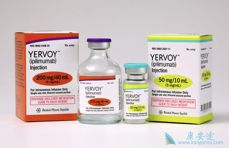 Ipilimumab Ipilimumab