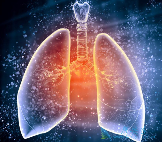 尼达尼布 尼达尼布