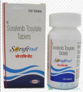 ��������(Sorafenib)�������Ƹΰ�������ڸ����͸���ת�ƵĹ���