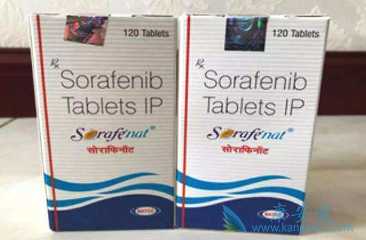 �༪���۸�