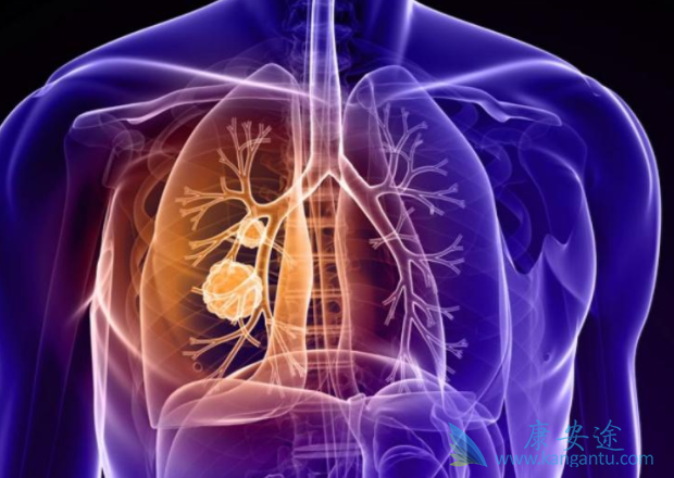 ��Сϸ���ΰ�