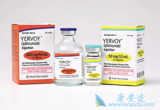 ������ķ��