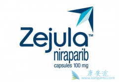 ��������(Zejula)�ı������е��ѳ�������ģʽ��