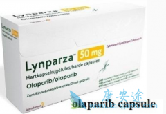 ��������/��������Ŀǰ��������Щ������