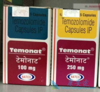 ��Ī��(temozolomide)���ƴ�������ʱ�ĸ�ҩ����