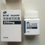 ���������ҹ�ҽҩ̸�еĿ�������(crizotinib)��ʲôҩ��