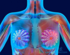 ������������������鵥�����ƺ󸴷������ٰ�����