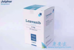 �ַ�����(Lenvaib)�ܹ���������ķ����������������