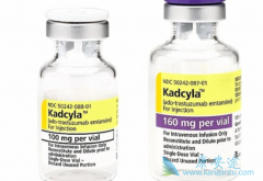 �����вд没������ٰ����߶��ܴ�Kadcyla�����л���