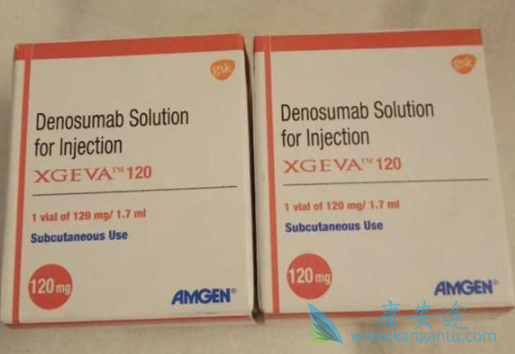 ��ŵ����