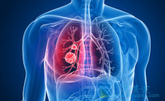 �ΰ����ڳ԰�ʥɳ/������������ܿ���ס������