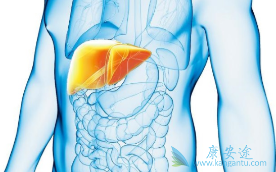 慢性乙肝 慢性乙肝