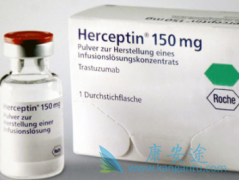 ����͡/�����鵥����HER2�������ٰ������ƻ���