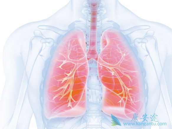 转移性肺癌 转移性肺癌