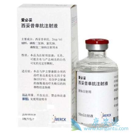 西妥昔单抗 西妥昔单抗