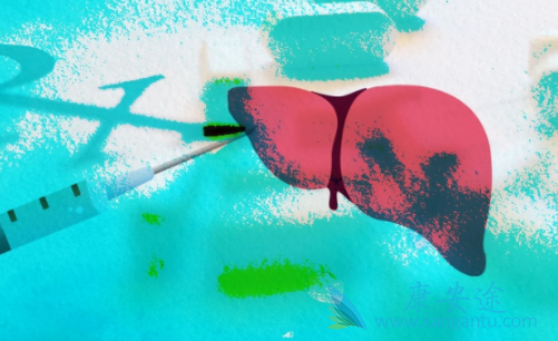 丙肝的危害 丙肝的危害