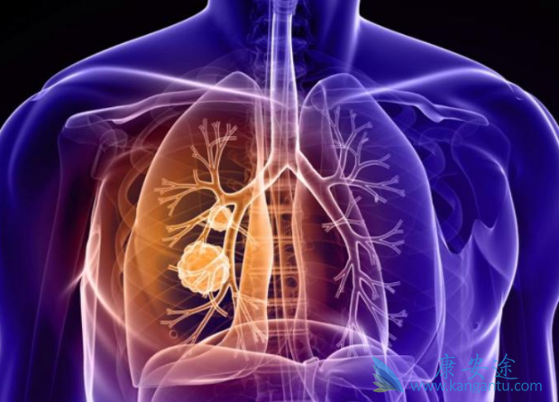 ��Сϸ���ΰ�