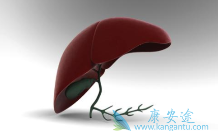 慢性乙肝 慢性乙肝