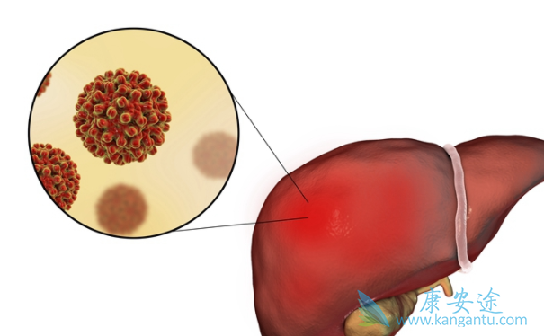 恩替卡韦 恩替卡韦