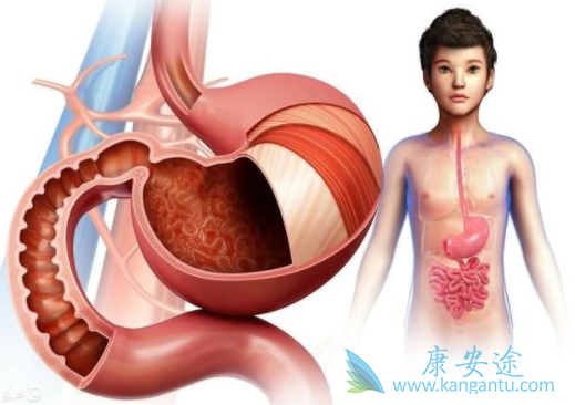 θ����������