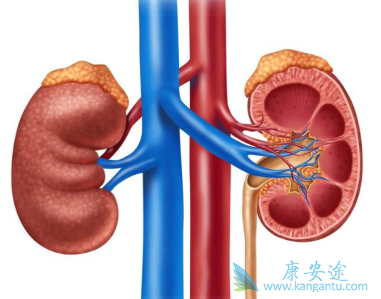 舒尼替尼 舒尼替尼