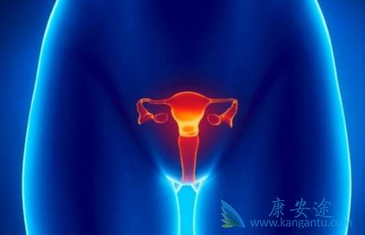 尼拉帕尼 尼拉帕尼