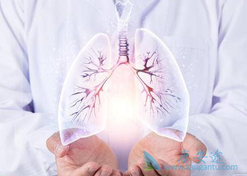 Сϸ���ΰ�������