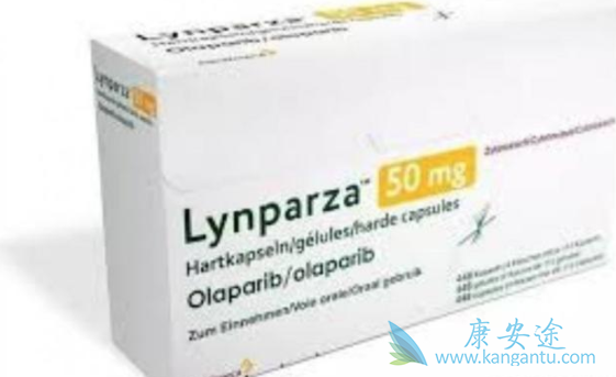 奥拉帕尼 奥拉帕尼