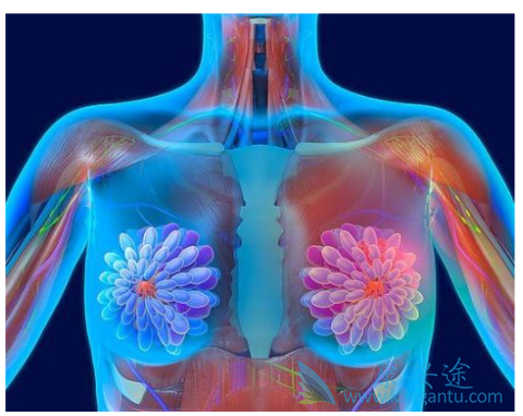 卡培他滨 卡培他滨