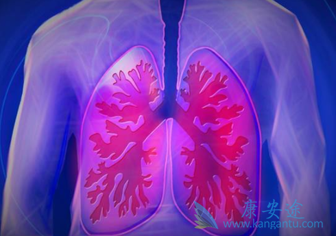 EGFR抑制剂 EGFR抑制剂