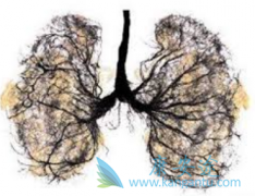 ���޿�˵�����еļ����Էβ���λ����������ҩ��ú�