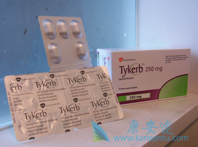 ��������Ƭ