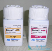 ����ҩ��������(SUNITINIB)����ΪСϸ���ΰ���ά���Ʒ�