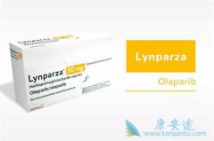 �����������ϰ���������ǰ���ٰ����ߵ���������û�нϴ�Ӱ��