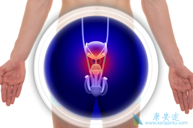 摄护腺癌 摄护腺癌