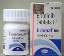��������(Erlotinib)һ�����Ʒΰ�����Ч�Ͱ�ȫ�Խ����ڻ���