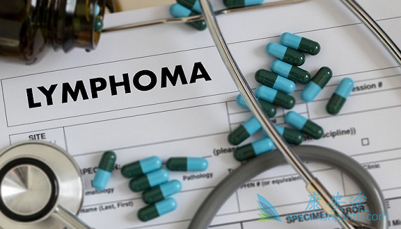 �޲�����