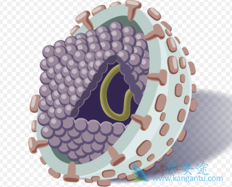 丙型肝炎 丙型肝炎