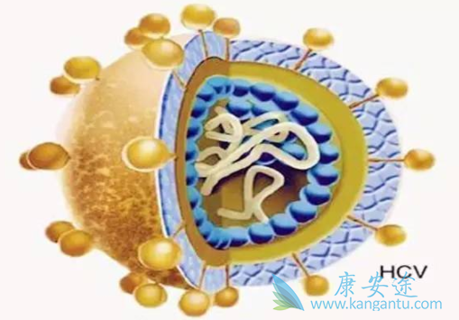 什么是丙肝 什么是丙肝