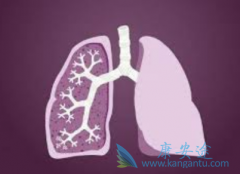 �ΰ����߹������ÿ�����(Conmana)�������Щ������Ӧ��