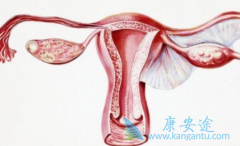 ����ҩ�����������ѳ�����������ҩ��֮һ