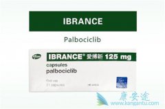 ��������(palbociclib)������ҩ�������ٰ��ȵ�ҩ����Ч��������