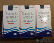 ӡ����������/�༪���ڼ۸��ҩƷ�����ϸ��߾�����