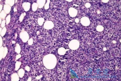 �����������������Դ�Bϸ���ܰ�����������ʲô���ã�